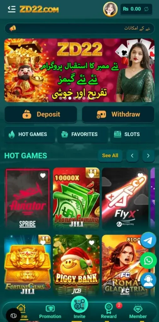 zd22 game